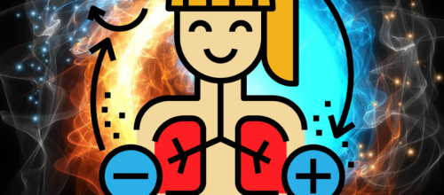 Antinflamatorios naturales